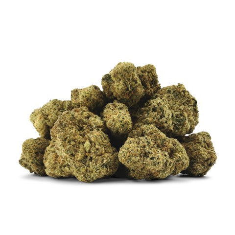 Bc Oz - Citrus City Og - 28G