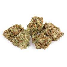 Aurora : CHOCOLOPE