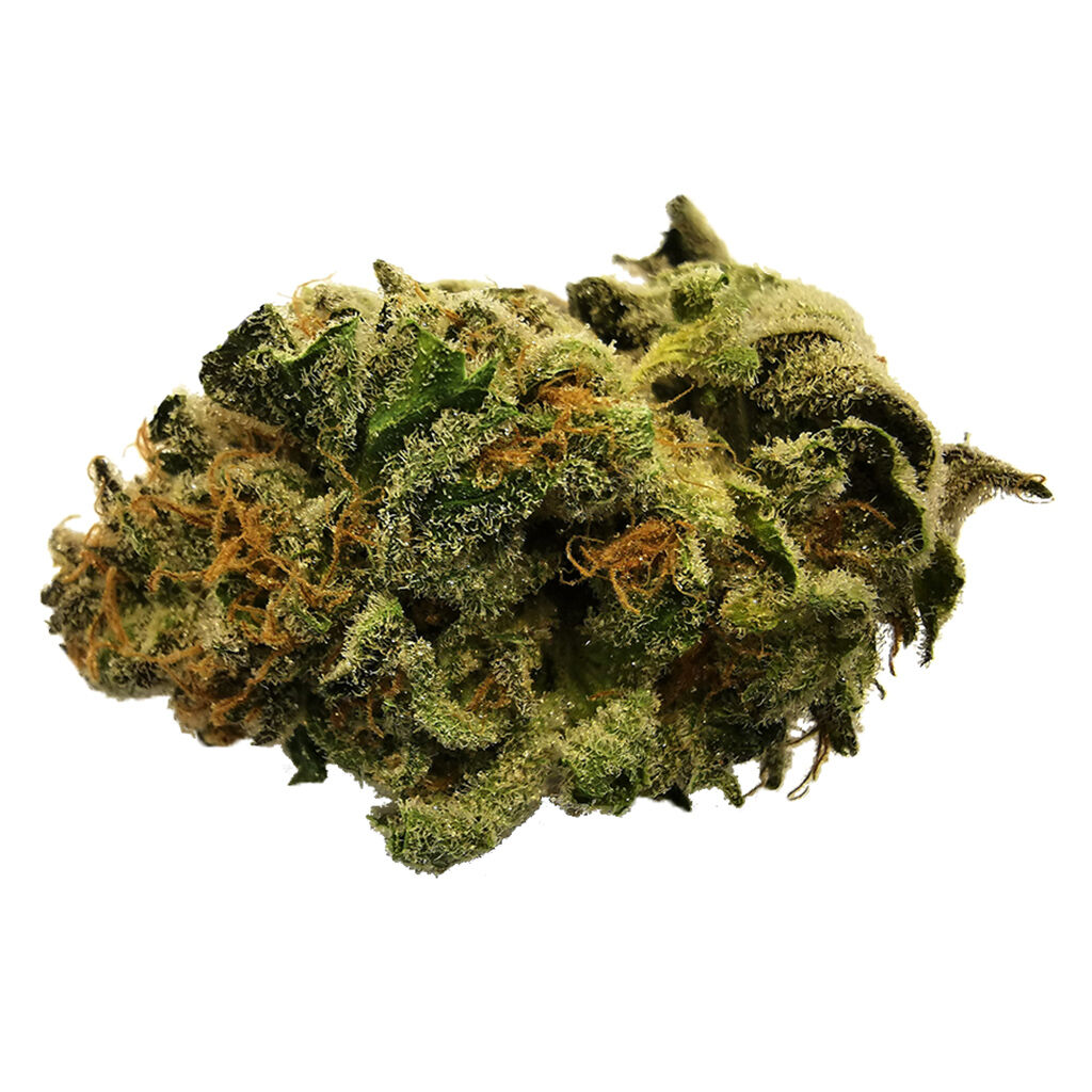 48North : GREEN CRUSH