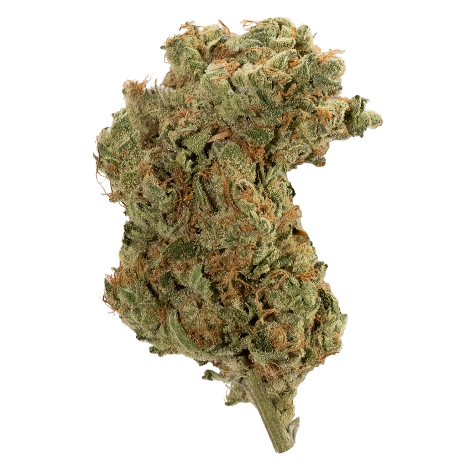 JOI BOTANICALS : RAINMAKER