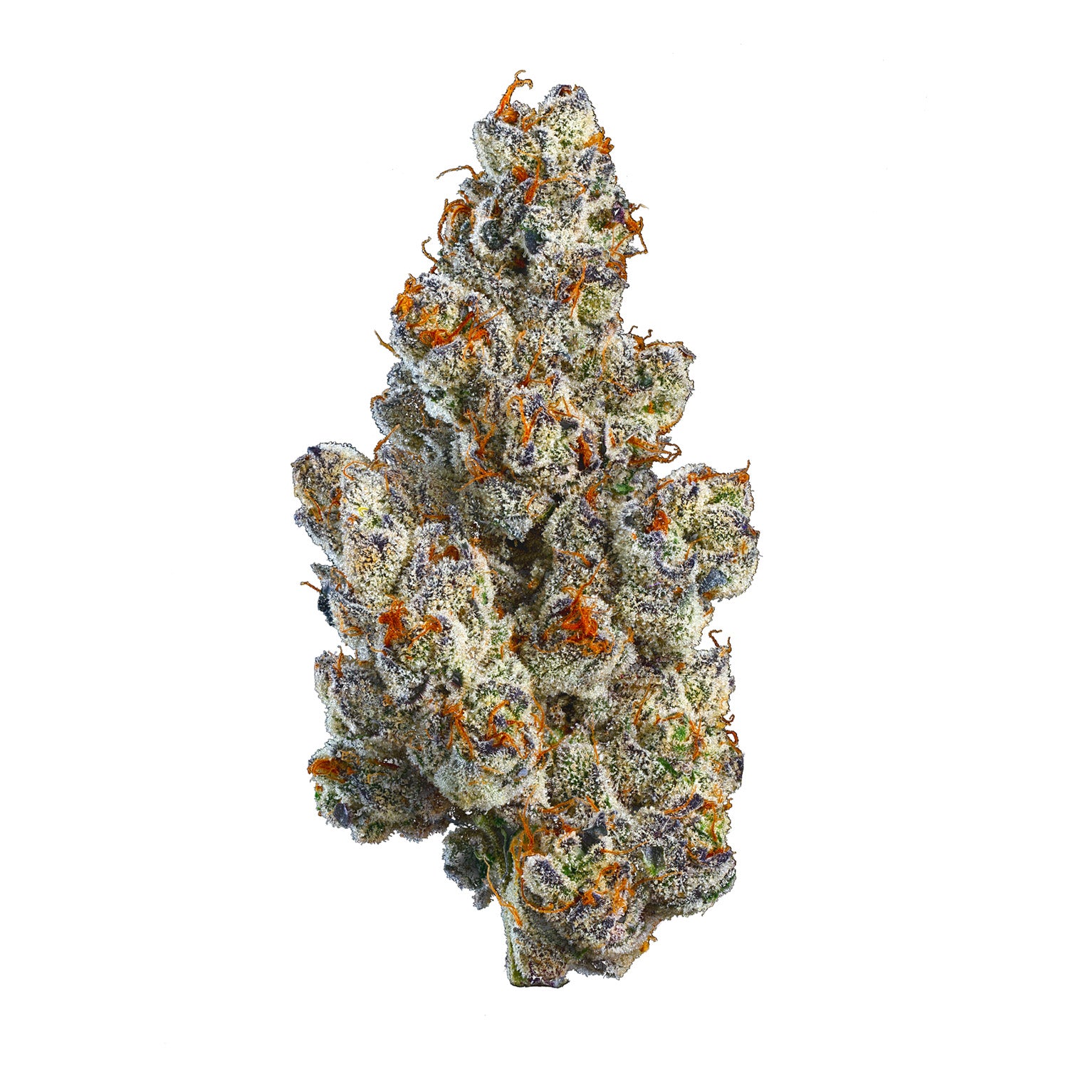 Coast Mountain Cannabis - Bc Organic Bling Blaow - 3.5G
