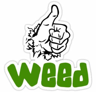 Thumbs Up Brand : CRAFT SNOWBUD AFGHAN KUSH