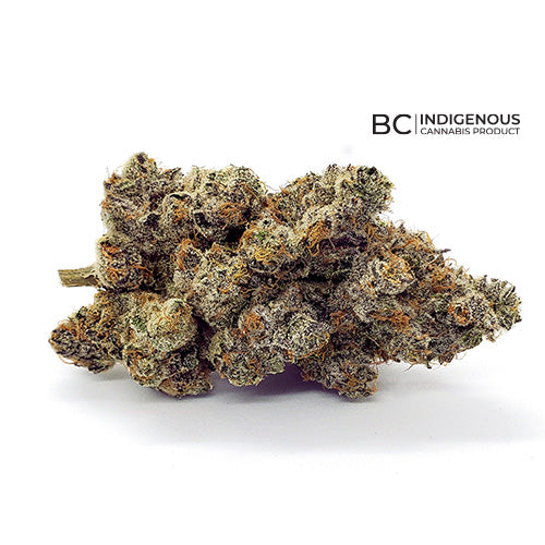 LOT420 : GELATO 33