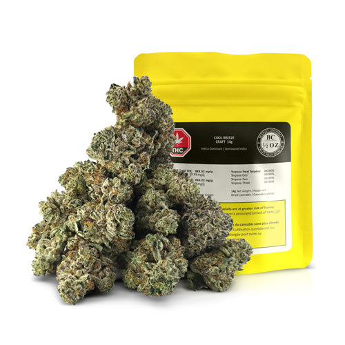 Bc 1/2 Oz : Cool Breeze Craft
