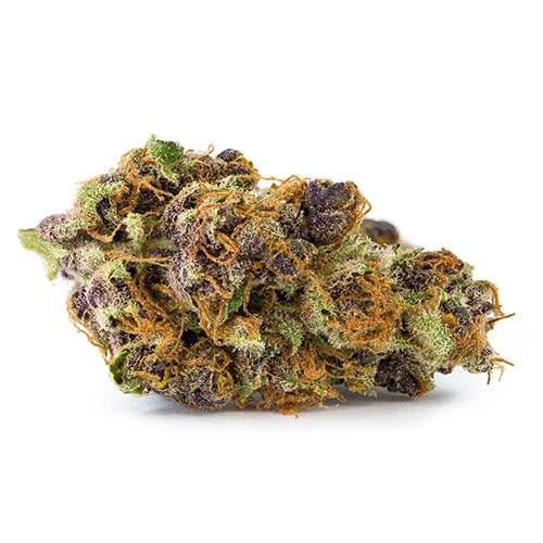 San Rafael '71 : TANGERINE DREAM