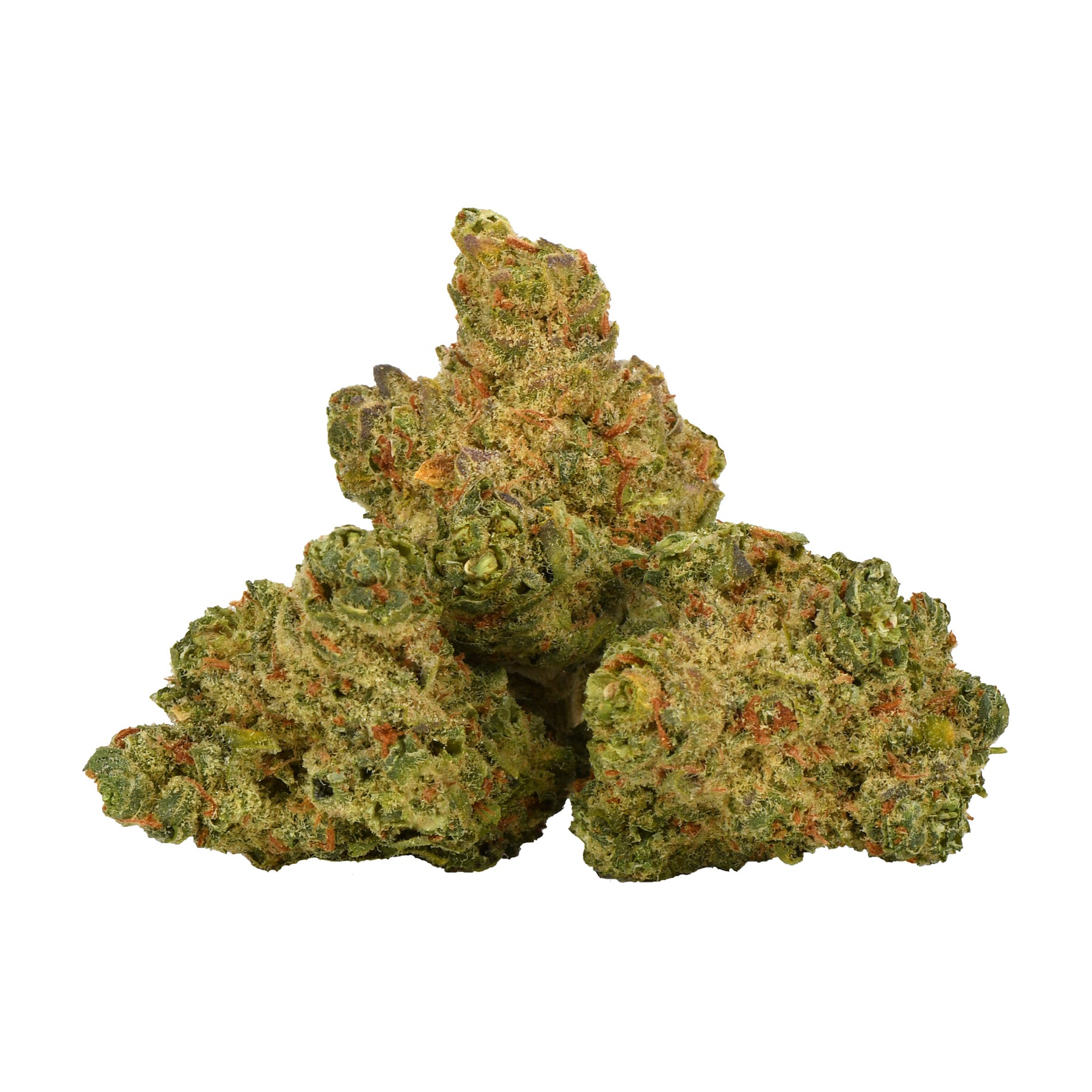 Table Top : SAN FRAN SOUR DOUGH