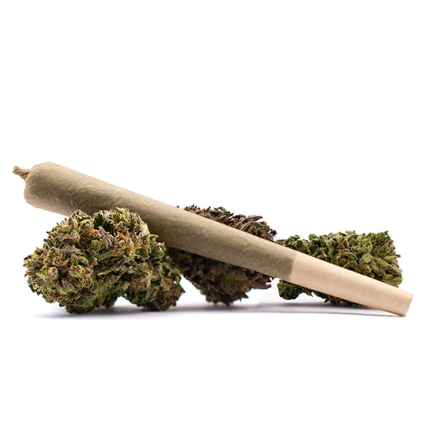 Primo - Afghan Hawaiian Pre-Rolls -  Hybrid 1.5G