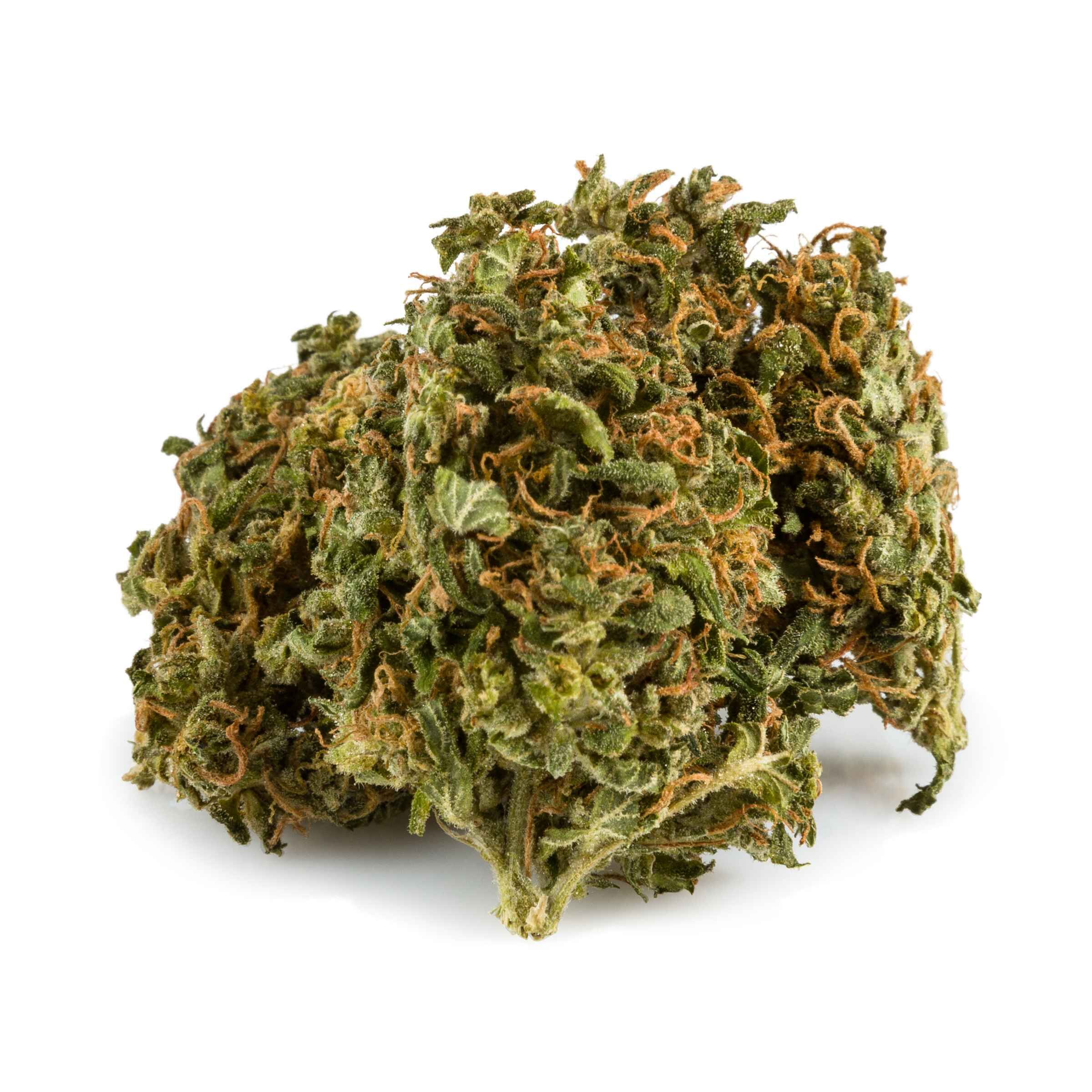 Aurora - Ghost Train Haze -  Sativa 3.5G