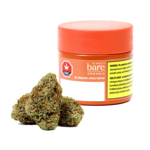 SIMPLY BARE : BC ORGANIC APPLE TFE PRESSED HASHISH (1g)