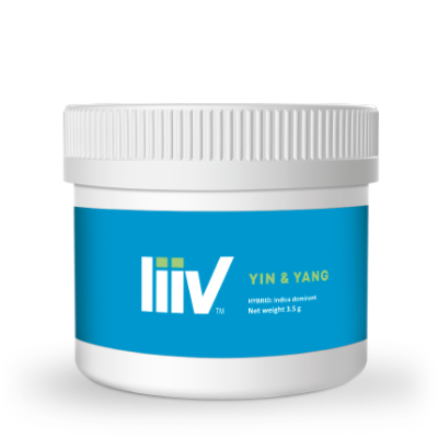 Liiv : YIN & YANG