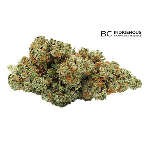 18twelve : KING KUSH