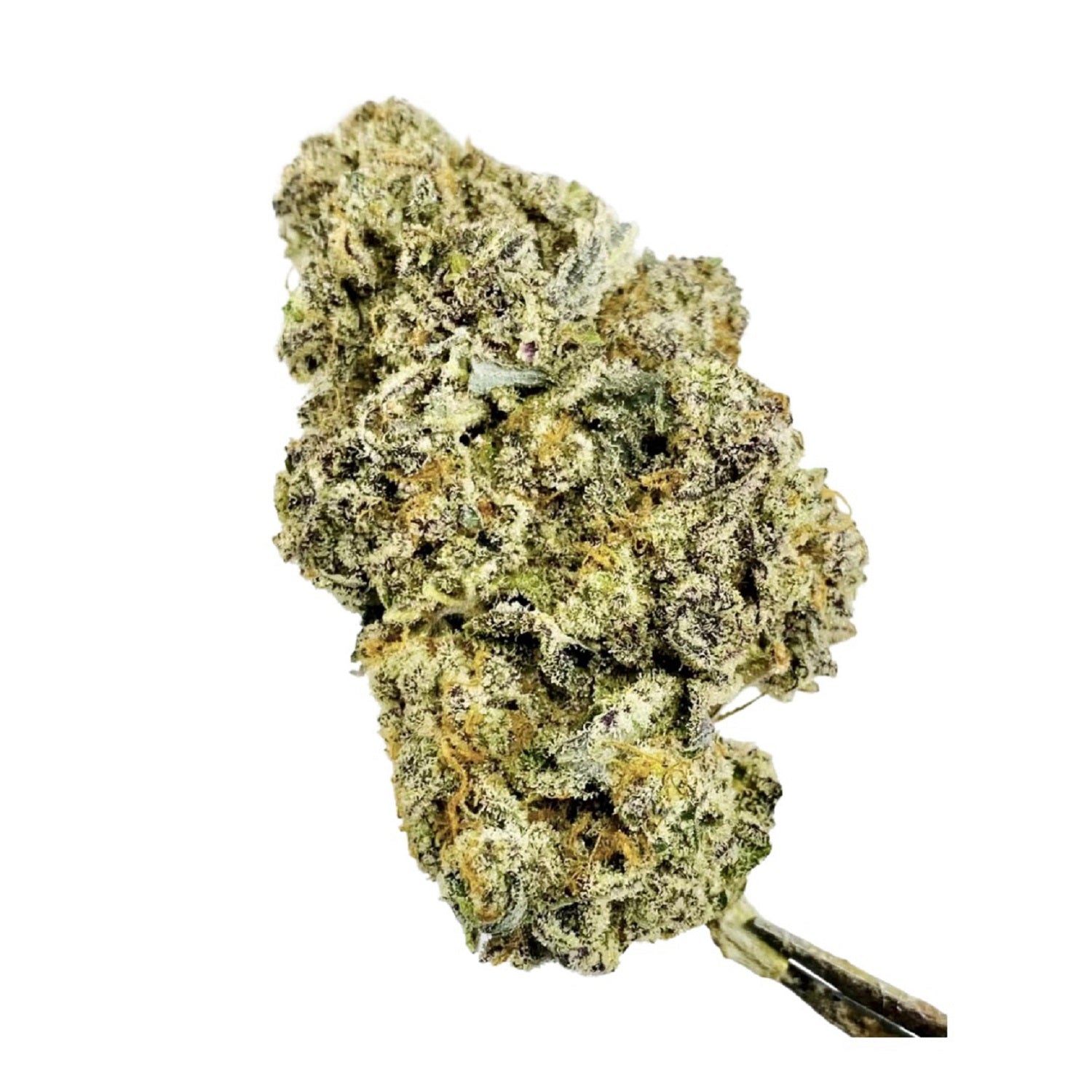 Pandannis Tree Productions : SUNSET SHERBET (MAI TAI)