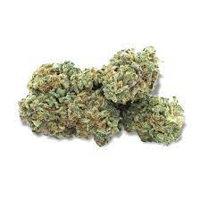 Haven St. : GLACIER KUSH