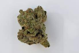 JOINT VENTURE CRAFT CANNABIS : RAINBOW DRIVER