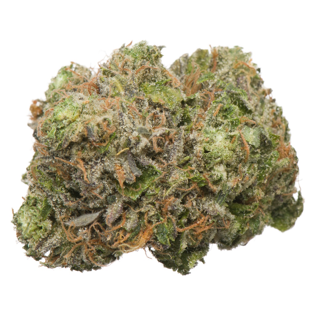 Namaste : D. BUBBA