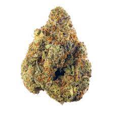 Saturday : HINDU KUSH
