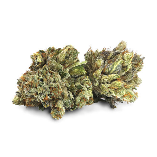 Pistol And Paris - Black Blossom - Black Triangle X Headbanger - Hybrid 3.5G