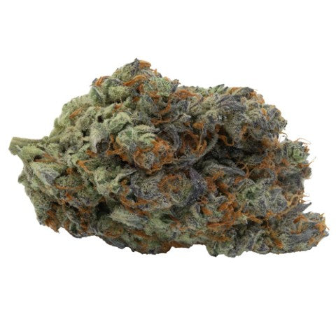 Kootenay Quantum : KQ Tangerine Queen