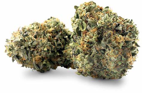 Bc Black - Black Kettle Farms Frosted Kush Cake - Indica - 5831 - 3.5G