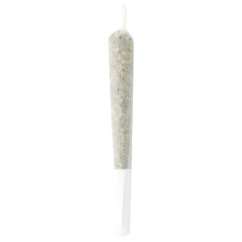 Sitka X - Og Collab-Citrus Experience Rosin Infused Pre-Roll - Sitka X : OG Collab Citrus Experience Rosin Infused Pre-Roll (1g)