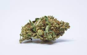 Marley Natural : JEAN GUY