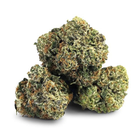 SMOKER FARMS : MASTER KUSH ULTRA