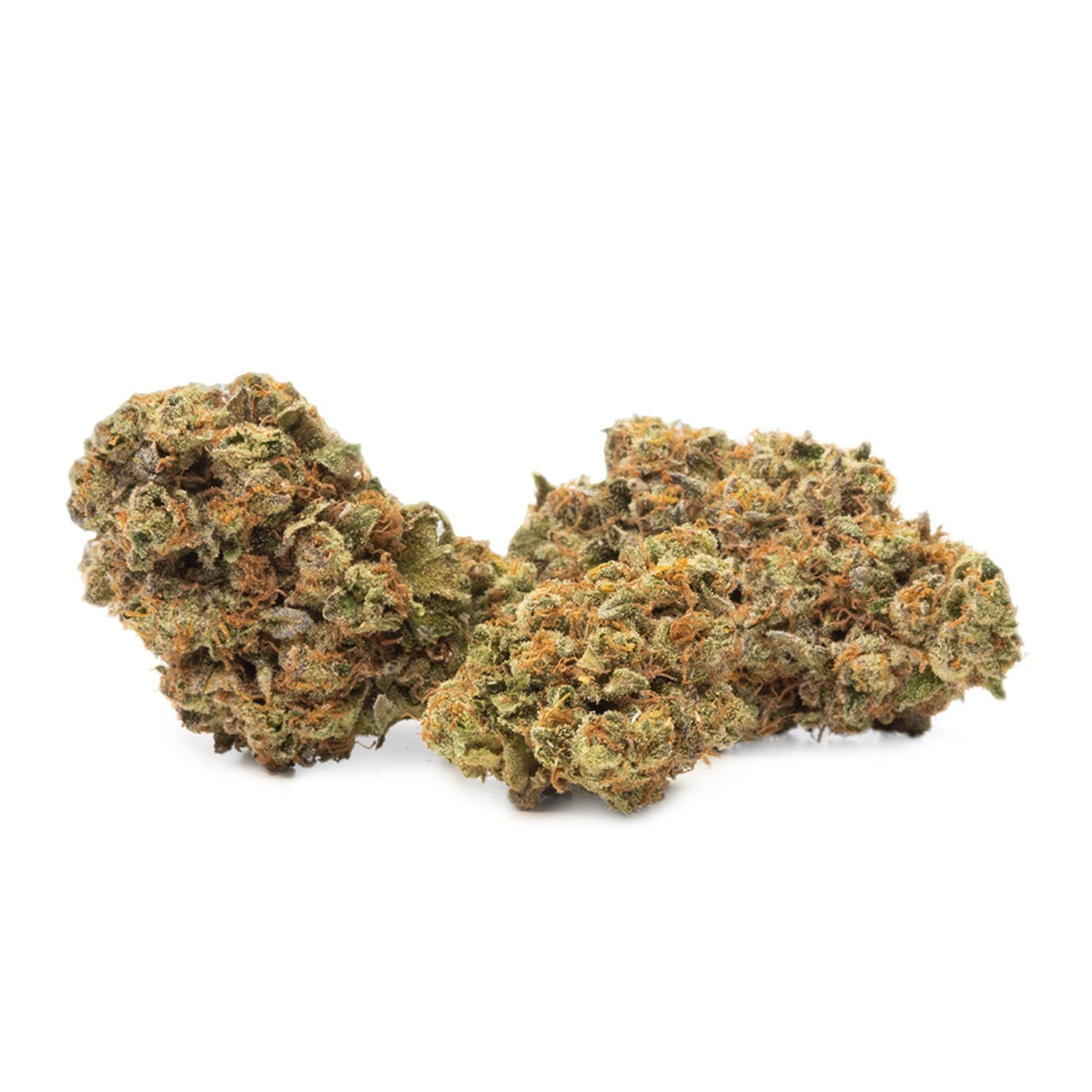 Qwest - Frosted Cherry Cookies - Hybrid 3.5G