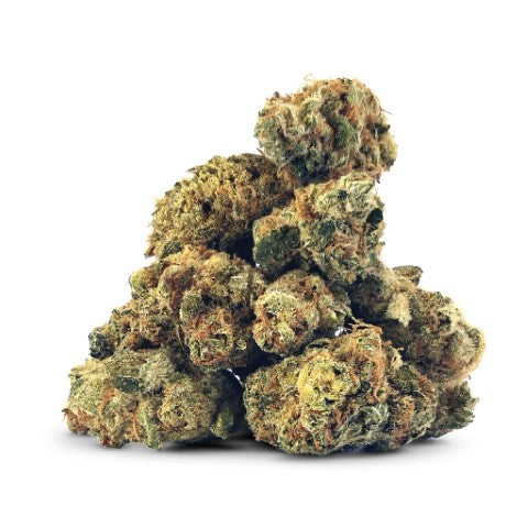 BC SMALLS : SNOW DIESEL SMALLS LTO (SOUR DIESEL X SNOW LOTUS)