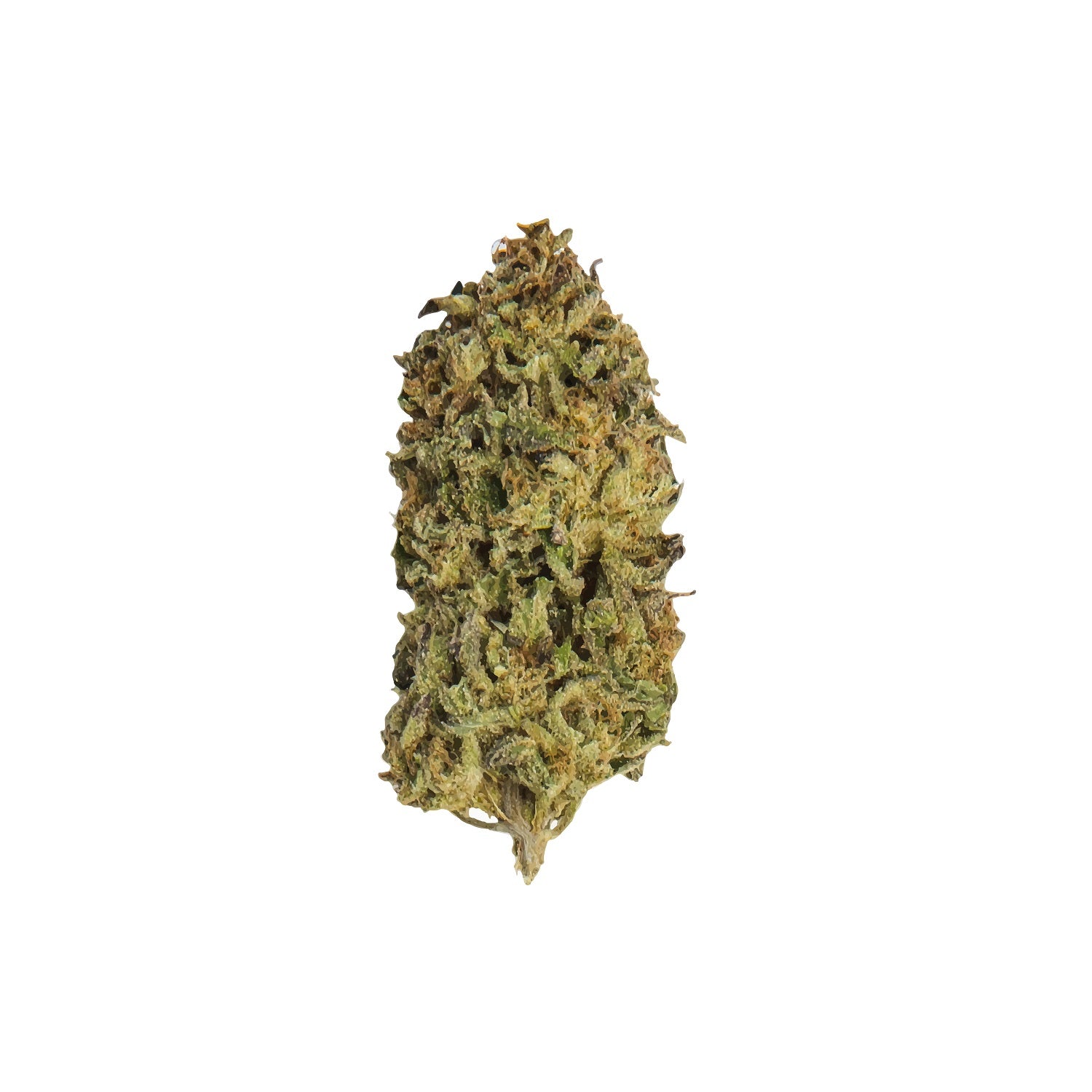 SHEEESH : MENDO BREATH
