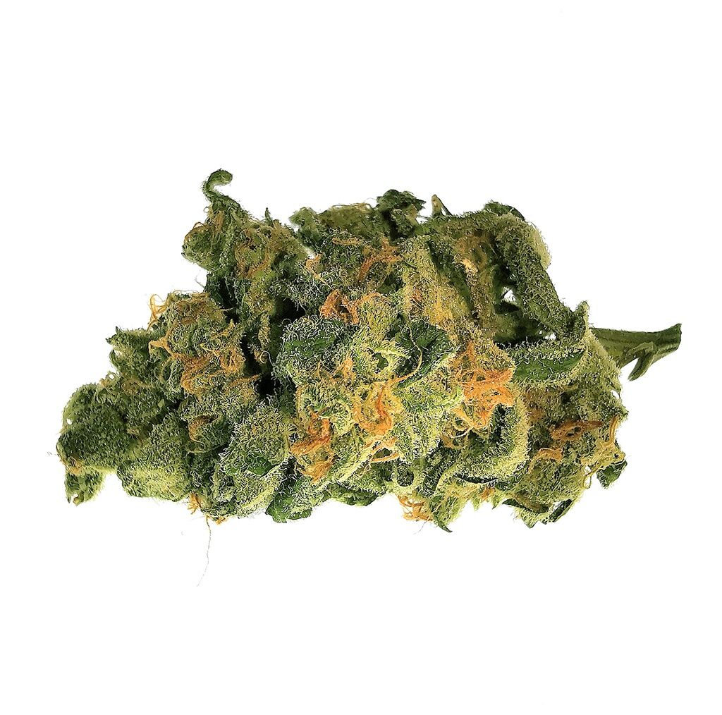 48North : GRANDDADDY PURPLE