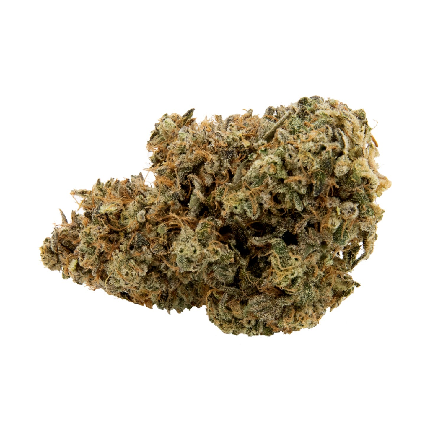 Sugarbud : BAHAMA BLIZZARD #11