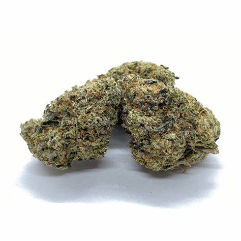 BC Black : DONKEY BUTTER
