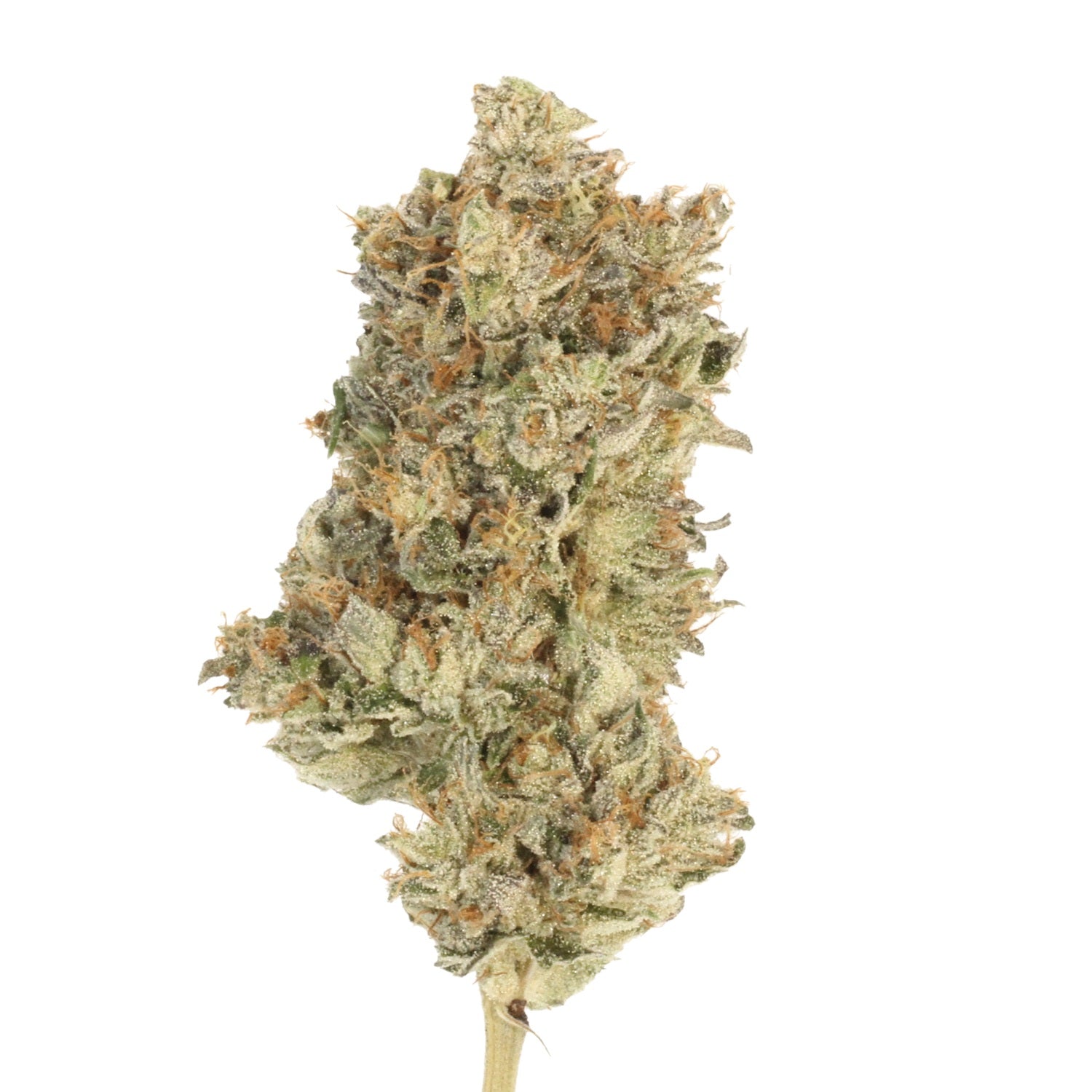 MOMENT IN TIME : DEATH BUBBA