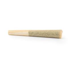Palmetto : RASCAL OG PRE-ROLL (0.5g)