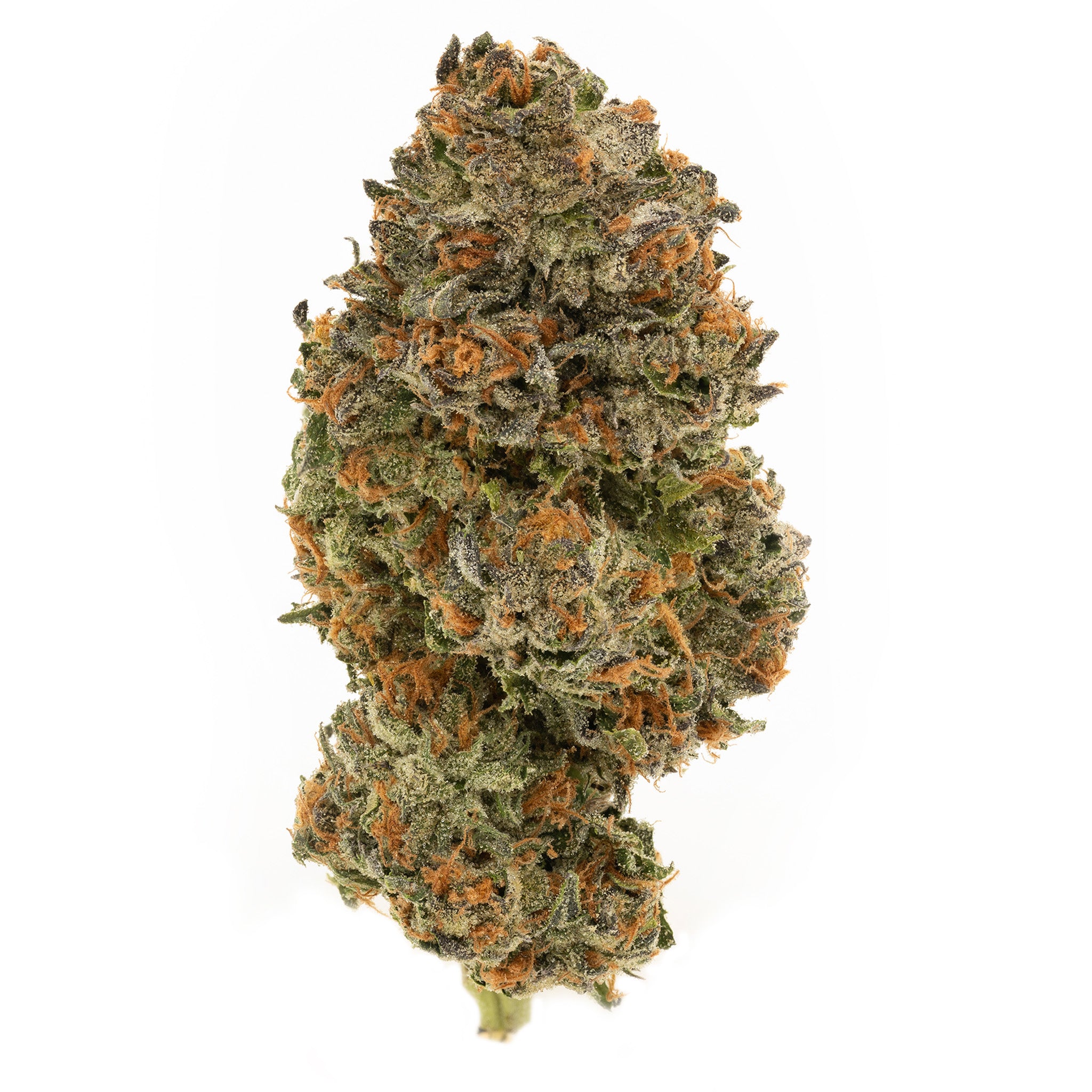 Simply Bare : BC ORGANIC JOKERZ LTO