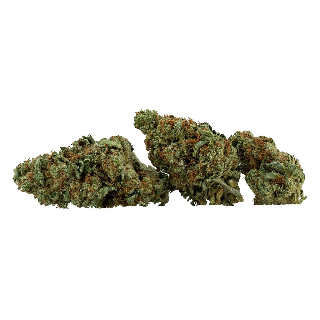 Daily Special : MK ULTRA