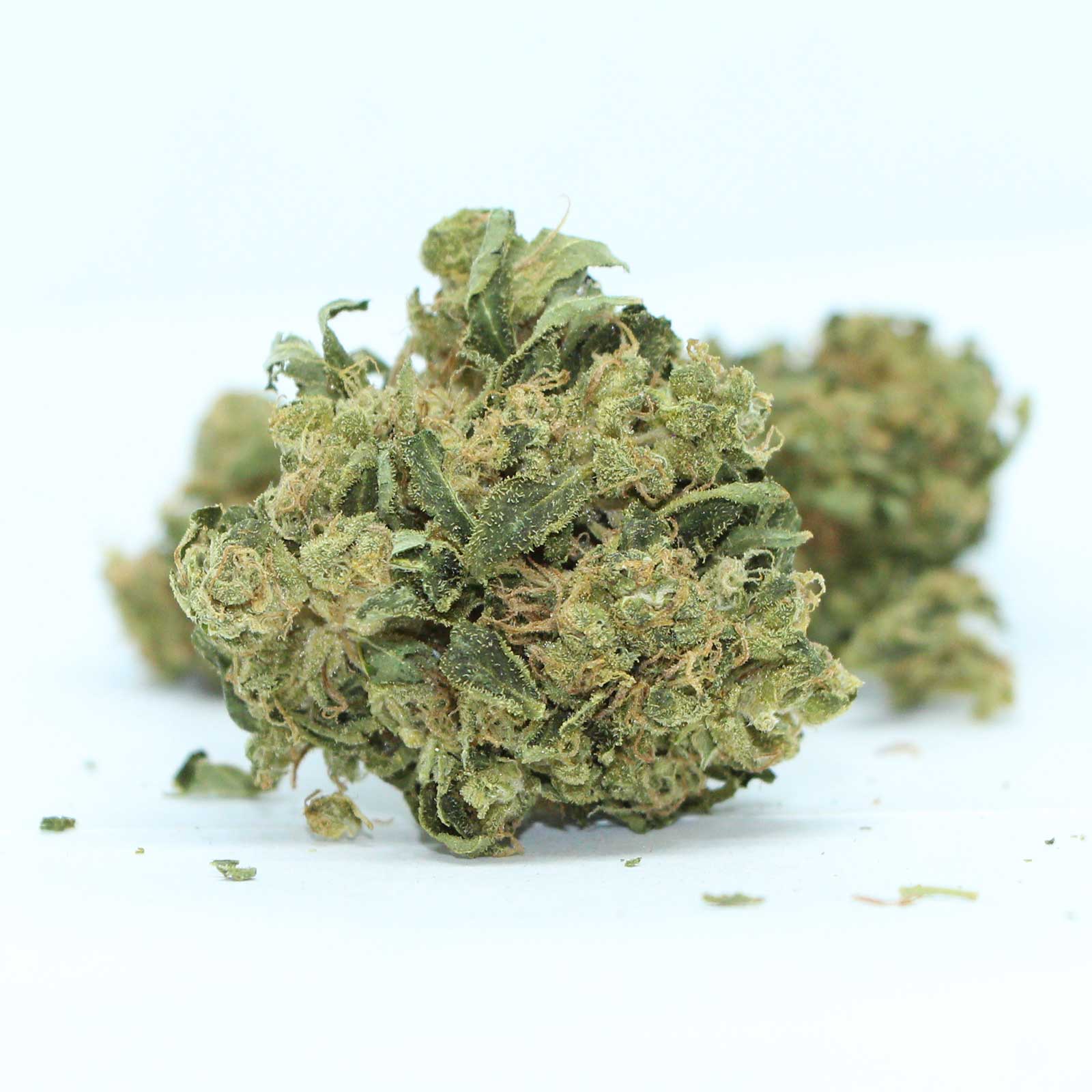 Strain Rec - Chocolate Swirl Cosmic Cheesecake Pops -  Blend 23.5G