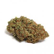 Northern Harvest : BLUE HAZE