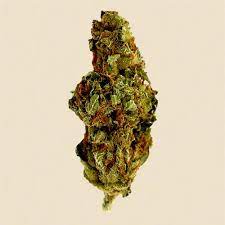 Canna Farms : JACK HERER