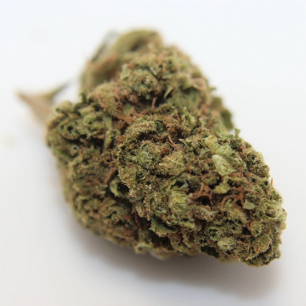 Tantalus Labs : BLOOD ORANGE