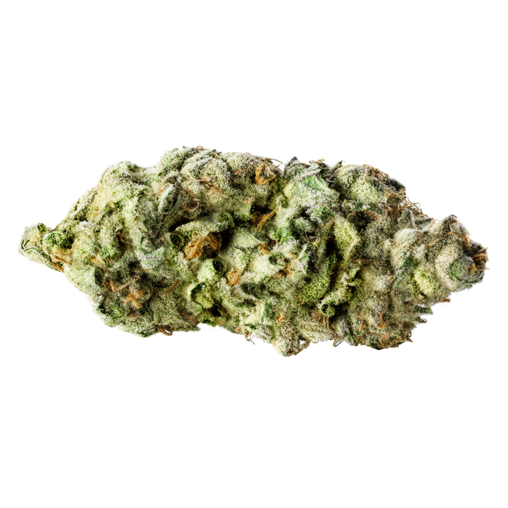 Redecan : CHEESQUAKE