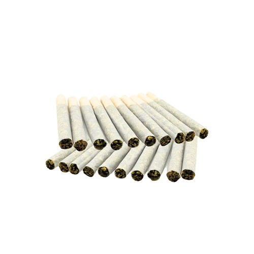 Trygg : Block Party Variety Pack Pre-Rolls (20x0.5g)