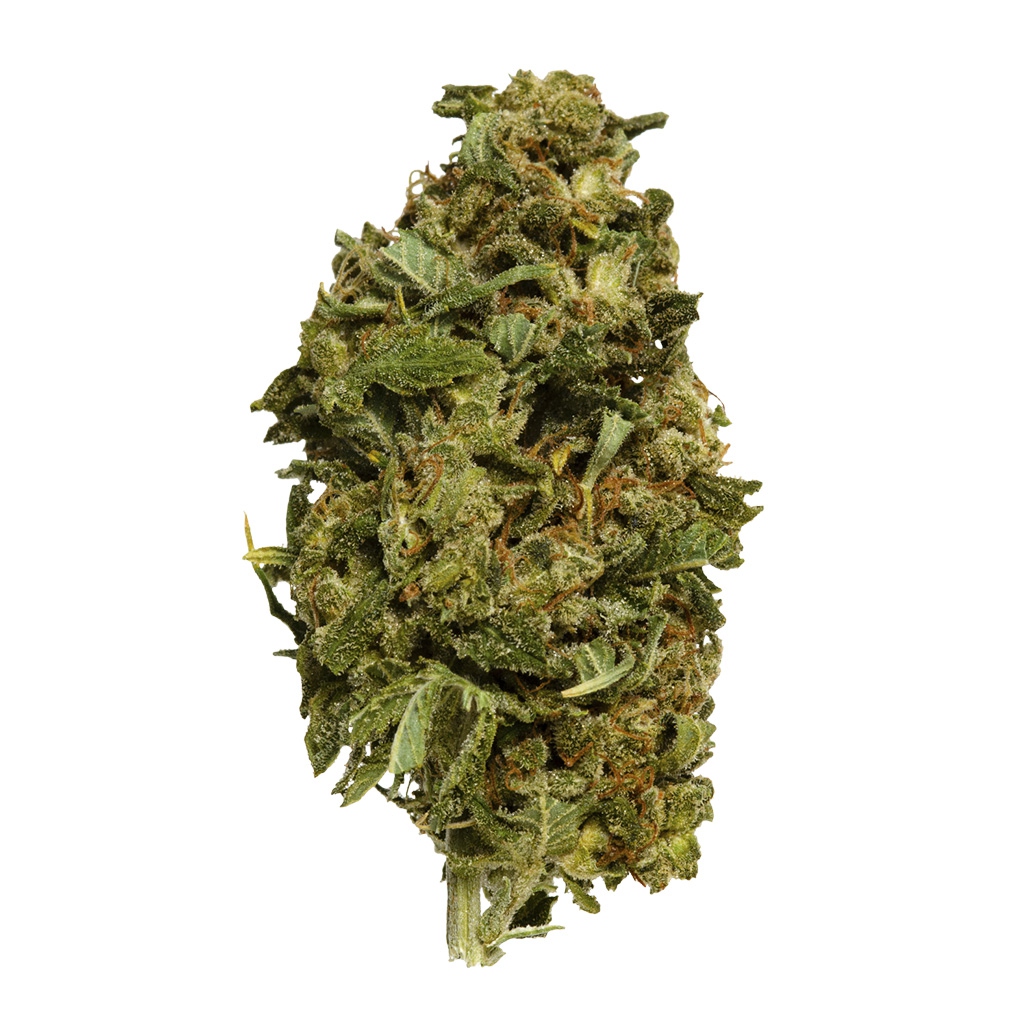 Hexo - Os.Reserve Sativa Blend -  Sativa 14G