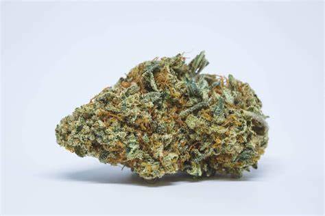 - Ness : Pineapple Chunk