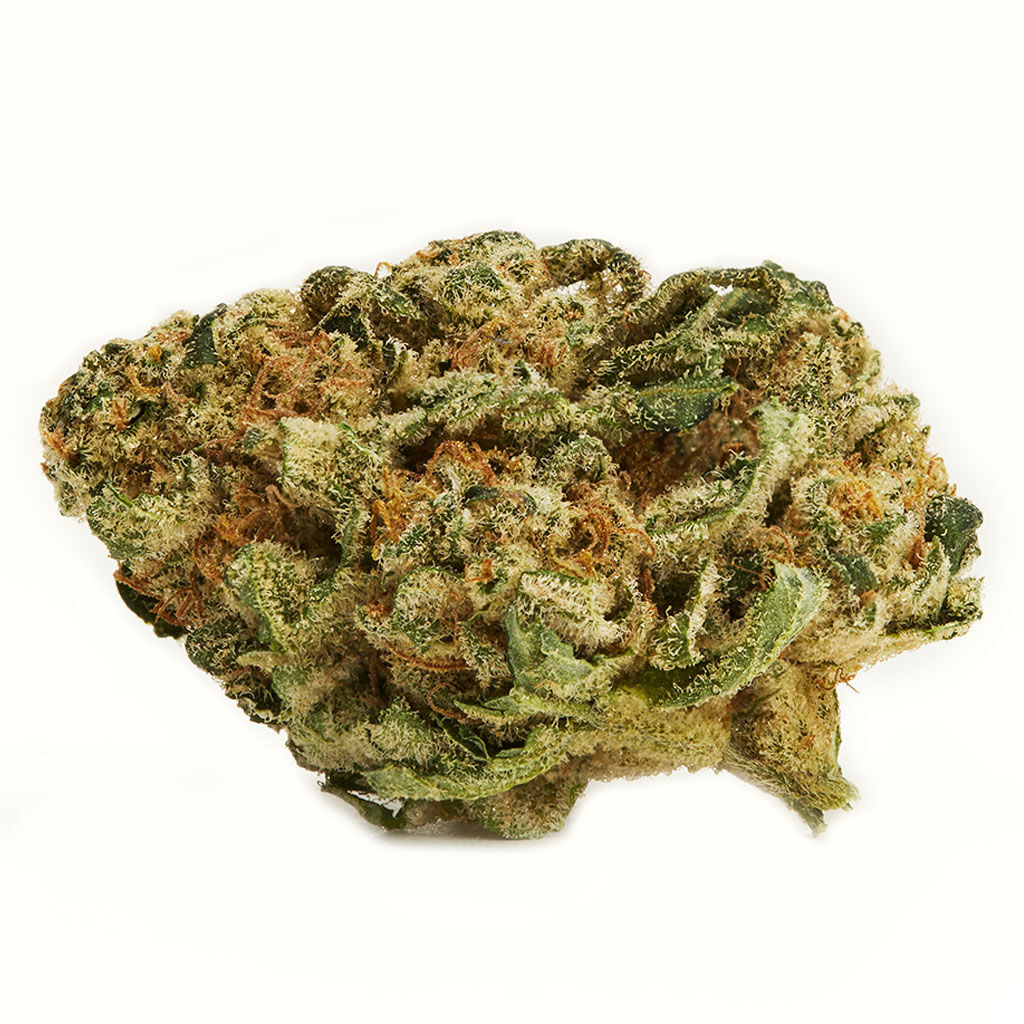 Marley Natural : MARLEY GREEN