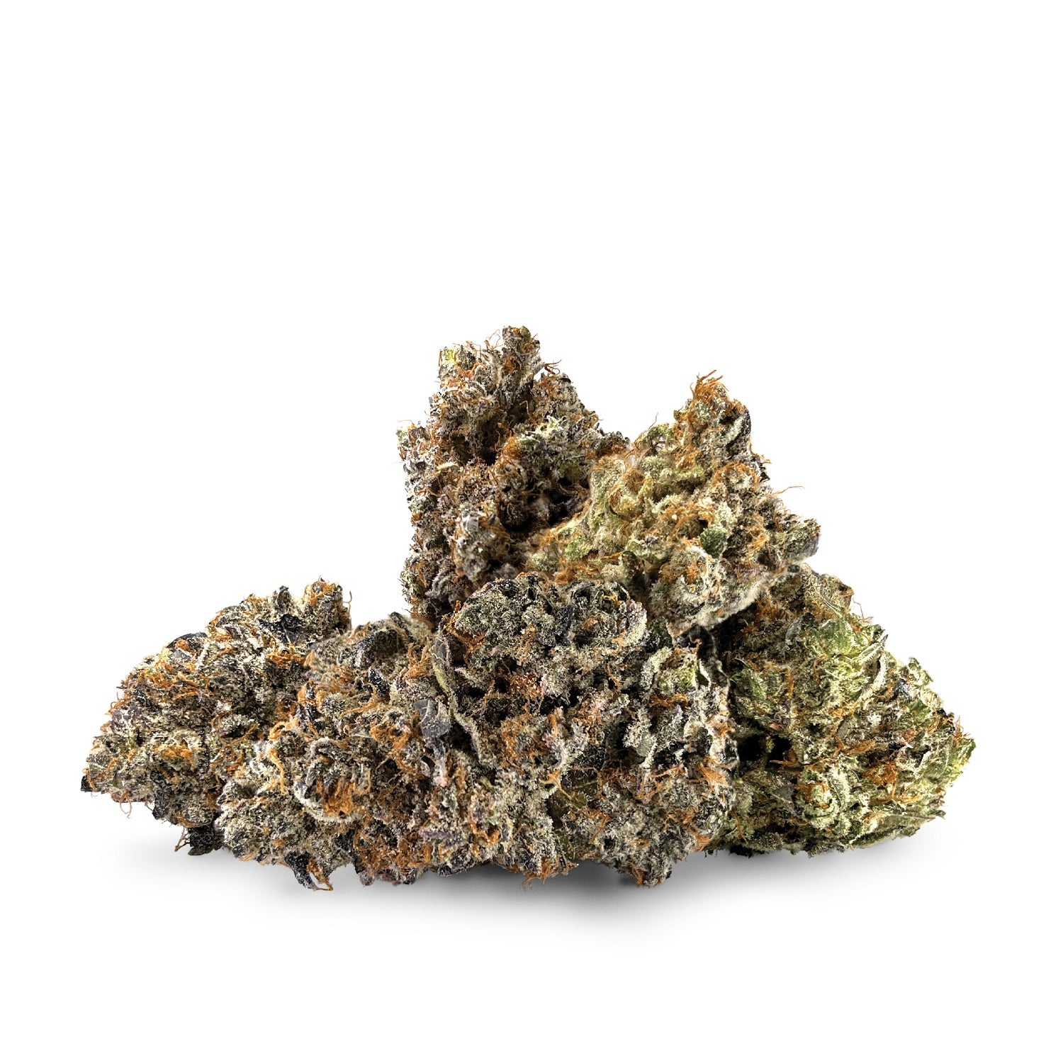 BC Black : STONEGROVE GRAPE SUNSET