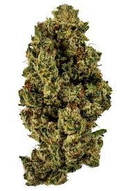 Rare Dankness : RUG BURN OG