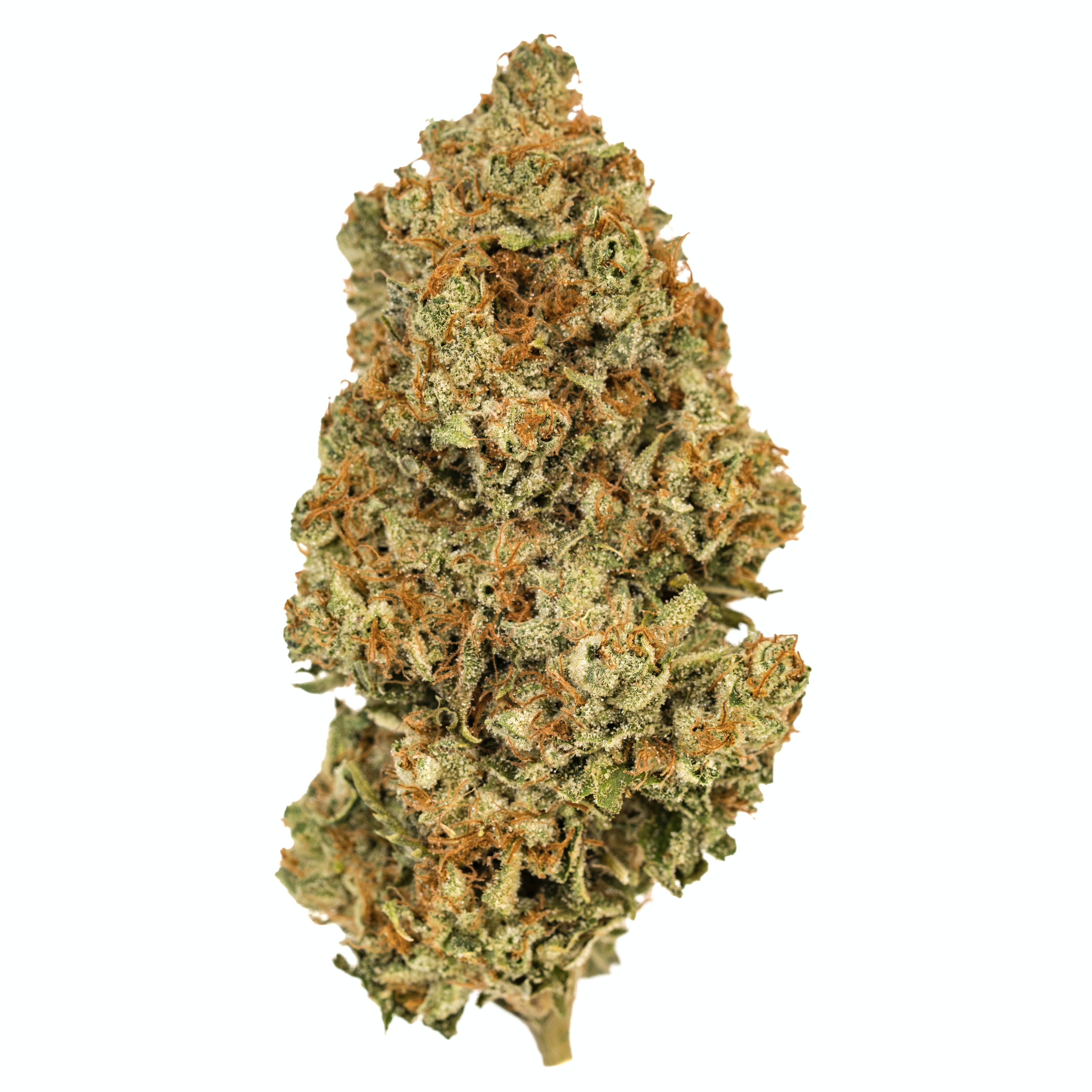 CANNMART : BRUCE BANNER