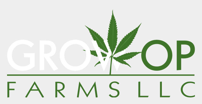 Grown Here Farms : HEMP FLOWER FOR CBD