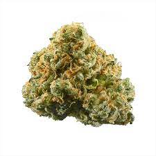 Kiwi Cannabis : ACDC